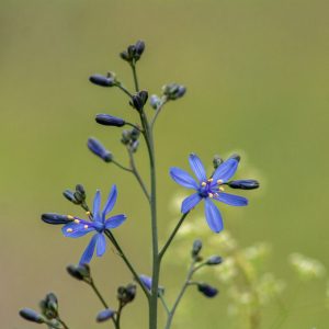 IMG_0398