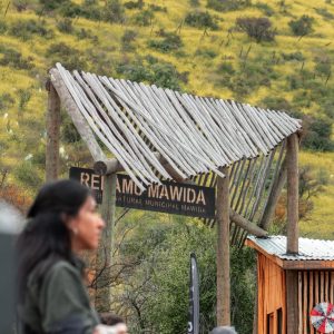 IMG_0408