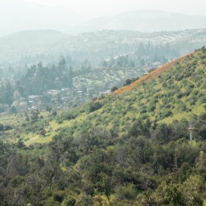 IMG_0544